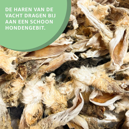 Konijnenoren met vacht