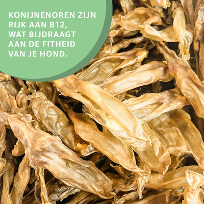 Konijnenoren zonder haar