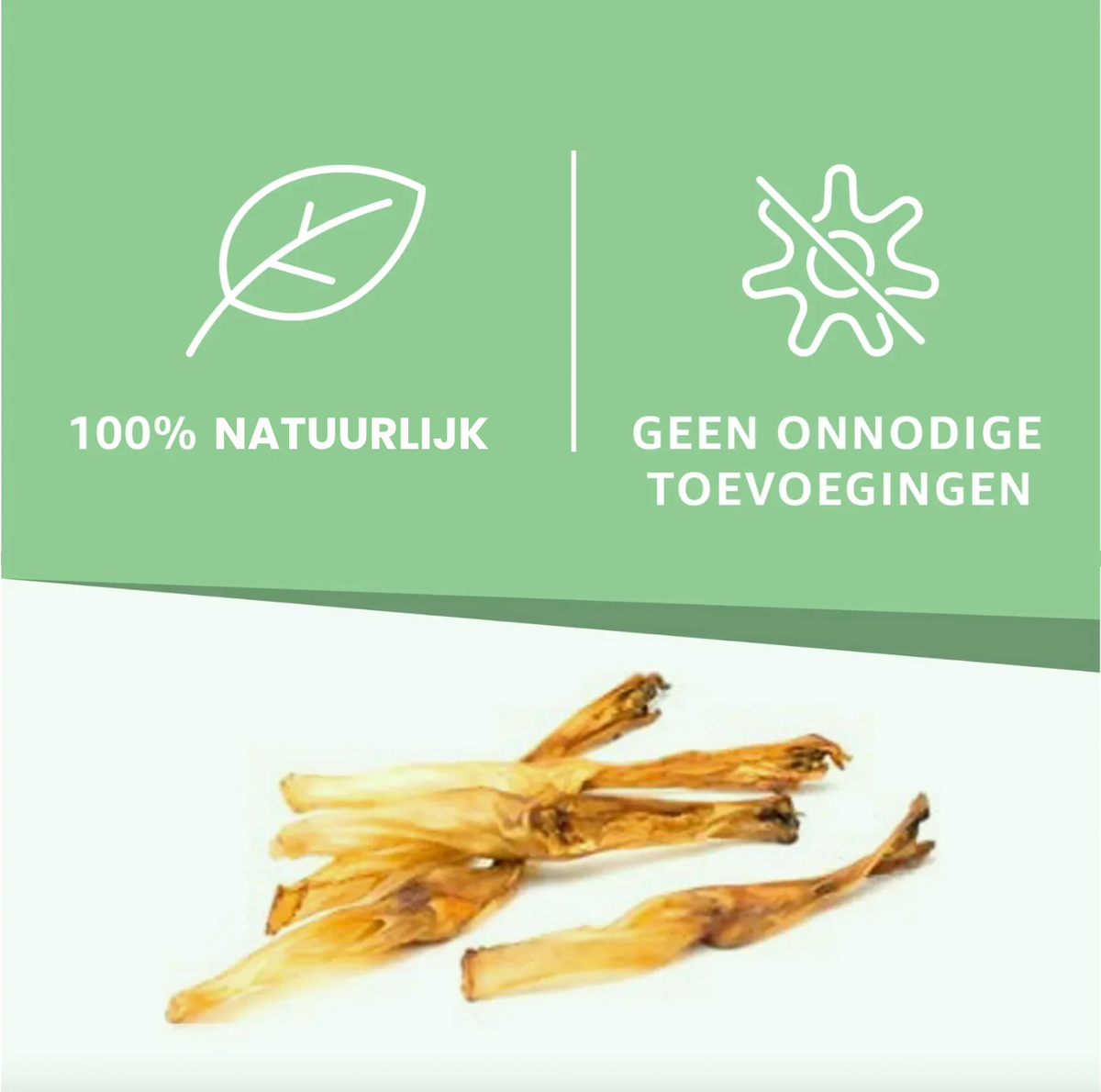 Konijnenoren zonder haar